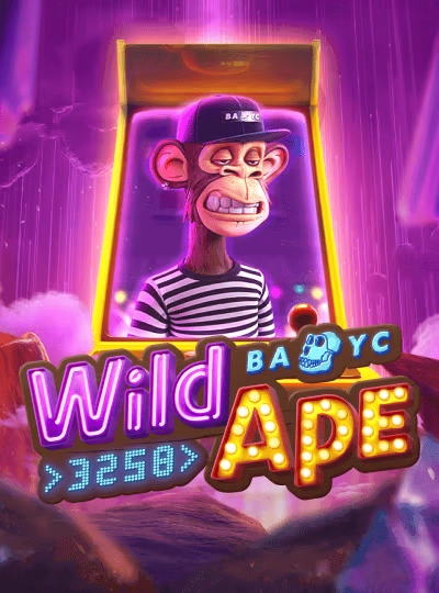 955bet
